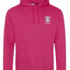 38 Sweat capuche loquidy