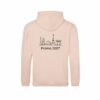 6 Sweat à capuche Audencia brodé (promo personnalisable)